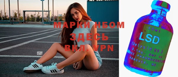 прущие грибы Абаза