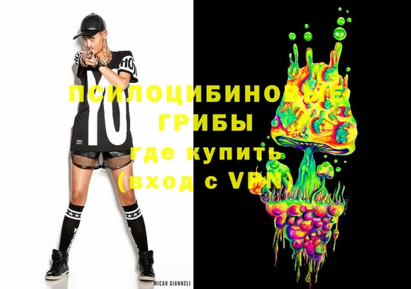 мдпв Алексин