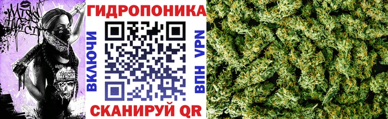 маркетплейс наркотические препараты  Южно-Сухокумск  Канабис Bruce Banner 